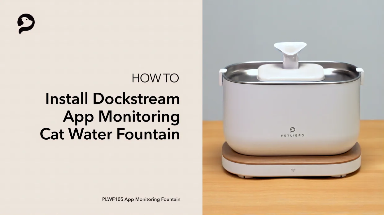 Homerunpet Dockstream Fountain image 3