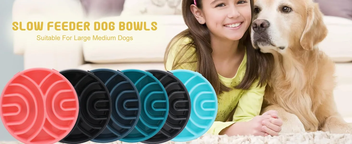 Houndware Slow Feeder Maze Bowl image 3