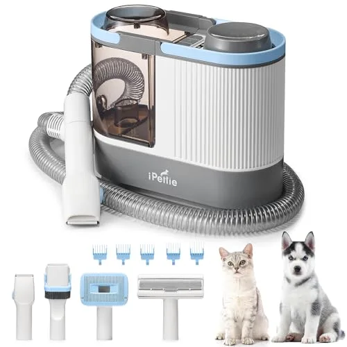 iPettie Domo Pet Fountain