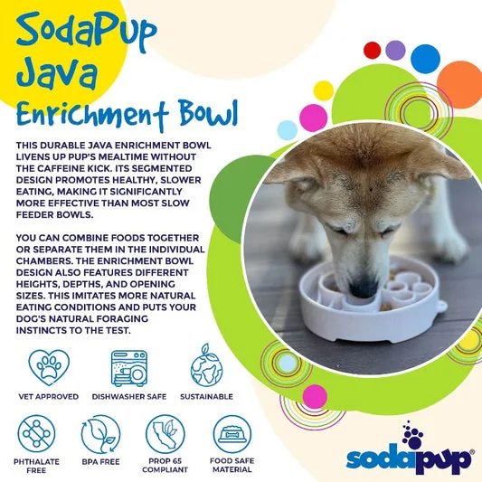 Joyser slow feed dog bowl
