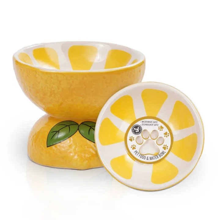 Jxkaohuibo Ceramic Pet Bowl Set image 2