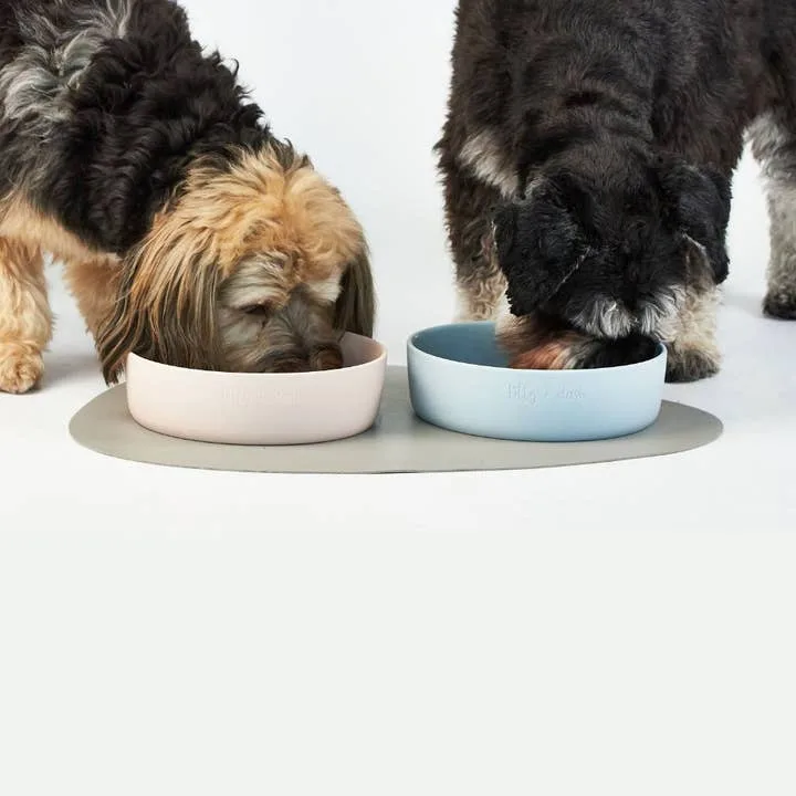 Jxkaohuibo Ceramic Pet Bowl Set image 3