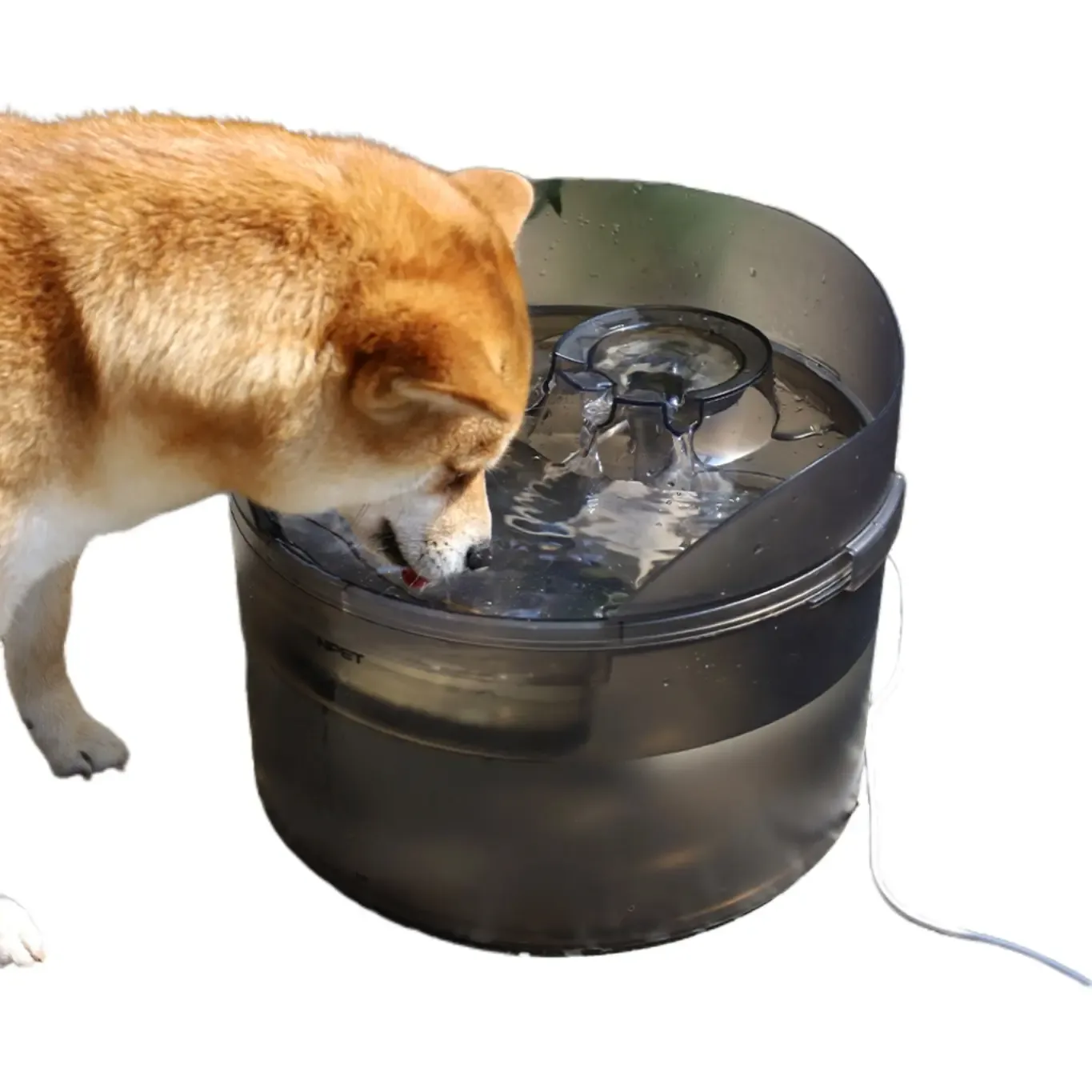 NPET Dog Water Bowl Dispenser
