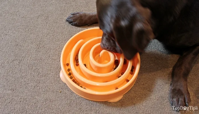 Outward Hound Kyjen Treat Feeder image 2
