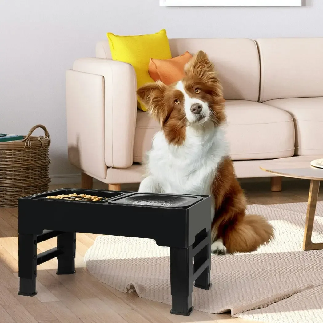 PAWZ Road Elevated Dog Feeder image 3