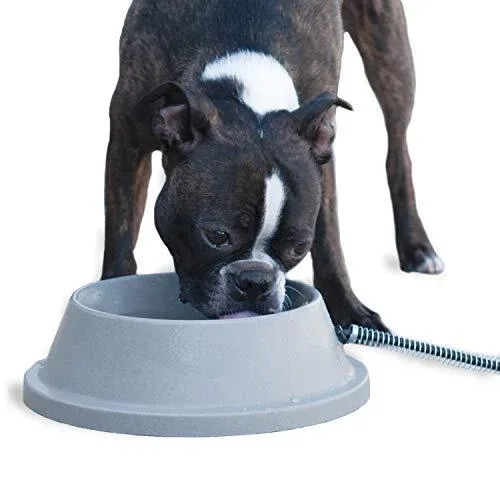 Petsafe Slow Feed Pet Bowl image 3